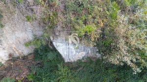 Terreno R�stico - Ansi�es, Amarante, Porto - Miniatura: 4/9