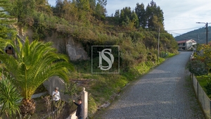 Terreno R�stico - Ansi�es, Amarante, Porto - Miniatura: 6/9