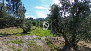 Terreno R�stico - Gouveia (S�o Sim�o), Amarante, Porto - Miniatura: 2/19
