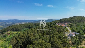 Terreno R�stico - Gouveia (S�o Sim�o), Amarante, Porto - Miniatura: 4/19