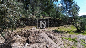 Terreno R�stico - Gouveia (S�o Sim�o), Amarante, Porto - Miniatura: 7/19