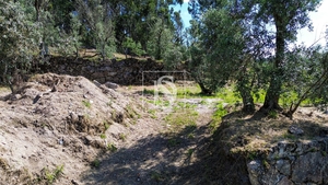 Terreno R�stico - Gouveia (S�o Sim�o), Amarante, Porto - Miniatura: 9/19