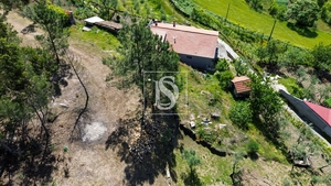 Terreno R�stico - Gouveia (S�o Sim�o), Amarante, Porto - Miniatura: 11/19