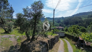 Terreno R�stico - Gouveia (S�o Sim�o), Amarante, Porto - Miniatura: 12/19