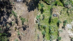 Terreno R�stico - Gouveia (S�o Sim�o), Amarante, Porto - Miniatura: 18/19