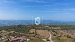Terreno R�stico - Gouveia (S�o Sim�o), Amarante, Porto - Miniatura: 1/16