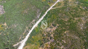 Terreno R�stico - Gouveia (S�o Sim�o), Amarante, Porto - Miniatura: 2/16
