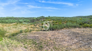 Terreno R�stico - Gouveia (S�o Sim�o), Amarante, Porto - Miniatura: 3/16