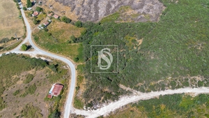 Terreno R�stico - Gouveia (S�o Sim�o), Amarante, Porto - Miniatura: 4/16