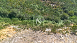 Terreno R�stico - Gouveia (S�o Sim�o), Amarante, Porto - Miniatura: 5/16