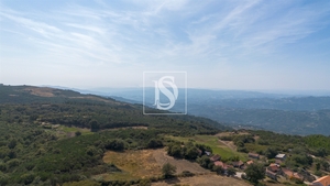 Terreno R�stico - Gouveia (S�o Sim�o), Amarante, Porto - Miniatura: 7/16