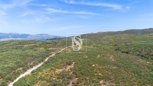 Terreno R�stico - Gouveia (S�o Sim�o), Amarante, Porto - Miniatura: 8/16