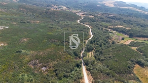 Terreno R�stico - Gouveia (S�o Sim�o), Amarante, Porto - Miniatura: 10/16