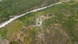 Terreno R�stico - Gouveia (S�o Sim�o), Amarante, Porto - Miniatura: 11/16