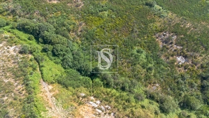 Terreno R�stico - Gouveia (S�o Sim�o), Amarante, Porto - Miniatura: 12/16