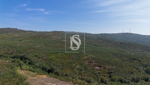 Terreno R�stico - Gouveia (S�o Sim�o), Amarante, Porto - Miniatura: 14/16