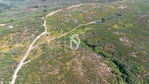 Terreno R�stico - Gouveia (S�o Sim�o), Amarante, Porto - Miniatura: 15/16