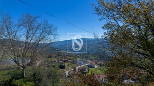 Terreno R�stico - Ancede, Bai�o, Porto - Miniatura: 9/25