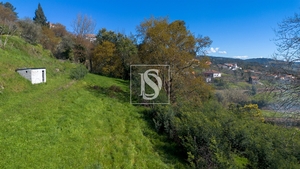 Terreno R�stico - Ancede, Bai�o, Porto - Miniatura: 13/25