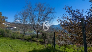 Terreno R�stico - Ancede, Bai�o, Porto - Miniatura: 14/25