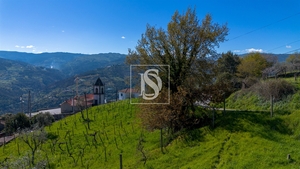 Terreno R�stico - Ancede, Bai�o, Porto - Miniatura: 15/25
