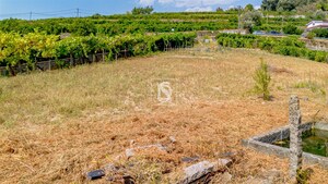 Moradia T3 - Santa Marinha do Z�zere, Bai�o, Porto - Miniatura: 8/21