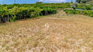 Moradia T3 - Santa Marinha do Z�zere, Bai�o, Porto - Miniatura: 10/21
