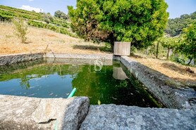 Moradia T3 - Santa Marinha do Z�zere, Bai�o, Porto - Miniatura: 18/21