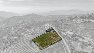 Terreno R�stico - Poiares, Peso da R�gua, Vila Real - Miniatura: 2/18