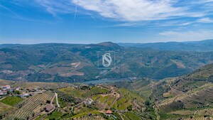 Terreno R�stico - Poiares, Peso da R�gua, Vila Real - Miniatura: 4/18