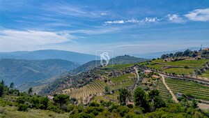 Terreno R�stico - Poiares, Peso da R�gua, Vila Real - Miniatura: 5/18