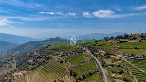 Terreno R�stico - Poiares, Peso da R�gua, Vila Real - Miniatura: 6/18