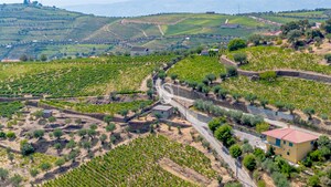 Terreno R�stico - Poiares, Peso da R�gua, Vila Real - Miniatura: 7/18