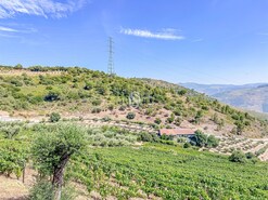 Terreno R�stico - Poiares, Peso da R�gua, Vila Real - Miniatura: 9/18