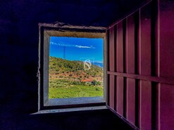Terreno R�stico - Poiares, Peso da R�gua, Vila Real - Miniatura: 13/18