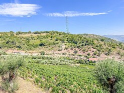 Terreno R�stico - Poiares, Peso da R�gua, Vila Real - Miniatura: 15/18