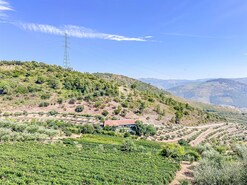 Terreno R�stico - Poiares, Peso da R�gua, Vila Real - Miniatura: 16/18