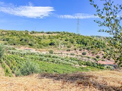 Terreno R�stico - Poiares, Peso da R�gua, Vila Real - Miniatura: 17/18