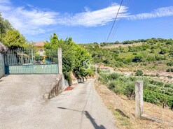 Terreno R�stico - Poiares, Peso da R�gua, Vila Real - Miniatura: 18/18