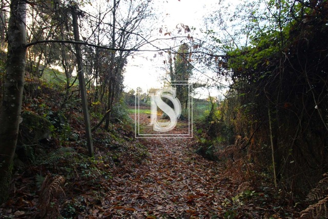 Terreno R�stico T0 - REBORDELO, Amarante, Porto - Imagem grande