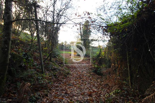 Terreno R�stico - REBORDELO, Amarante, Porto - Imagem grande