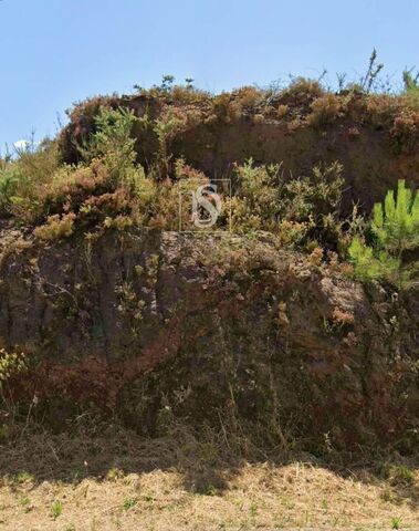 Terreno R�stico - Vila Garcia, Amarante, Porto - Imagem grande