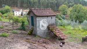 Terreno Rstico T0 - JAZENTE, Amarante, Porto