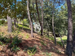 Terreno Urbano T0 - Lufrei, Amarante, Porto - Miniatura: 3/11