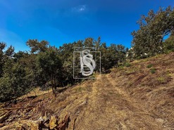 Terreno Urbano T0 - Lufrei, Amarante, Porto - Miniatura: 10/11