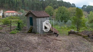 Terreno Rstico T0 - JAZENTE, Amarante, Porto - Miniatura: 1/24