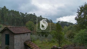 Terreno Rstico T0 - JAZENTE, Amarante, Porto - Miniatura: 3/24