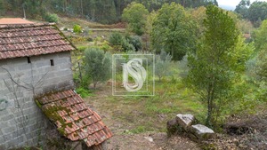 Terreno Rstico T0 - JAZENTE, Amarante, Porto - Miniatura: 4/24