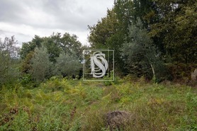 Terreno Rstico T0 - JAZENTE, Amarante, Porto - Miniatura: 17/24