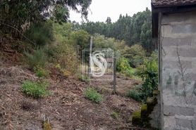 Terreno Rstico T0 - JAZENTE, Amarante, Porto - Miniatura: 18/24